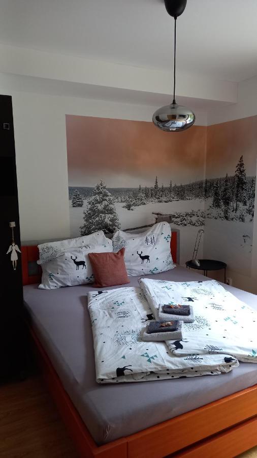 Harrachovsky Apartman エクステリア 写真