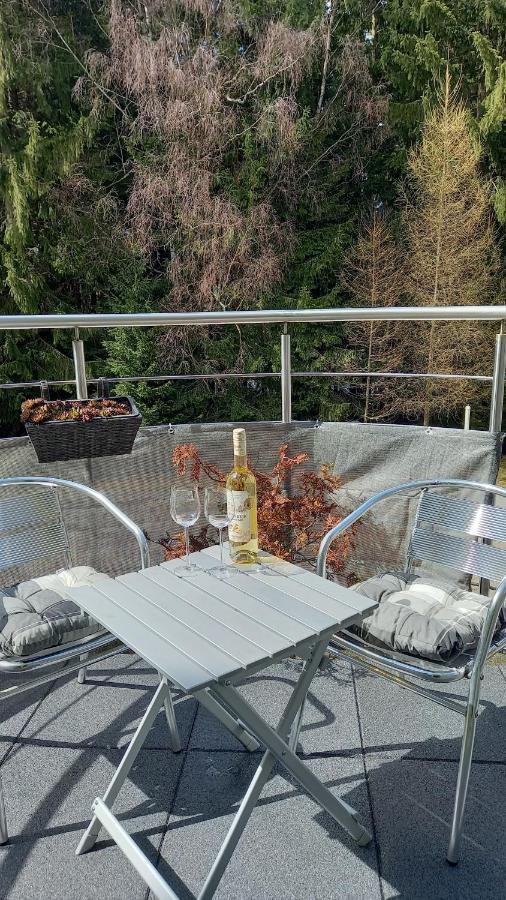 Harrachovsky Apartman エクステリア 写真